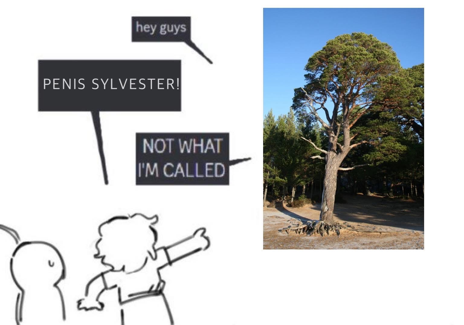 crude meme but i cant help but laugh…we need more botany memes!