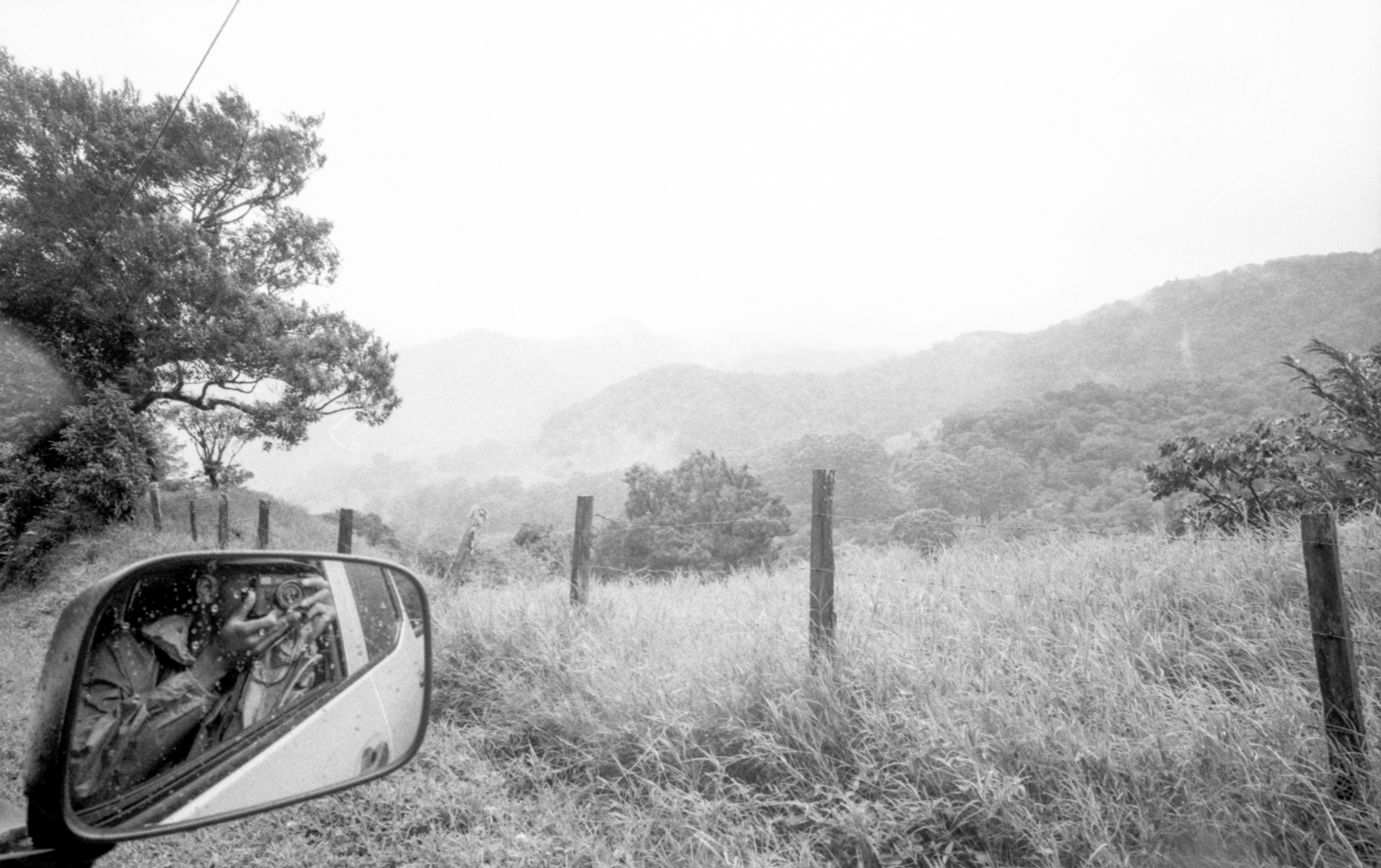 in the cloud forest