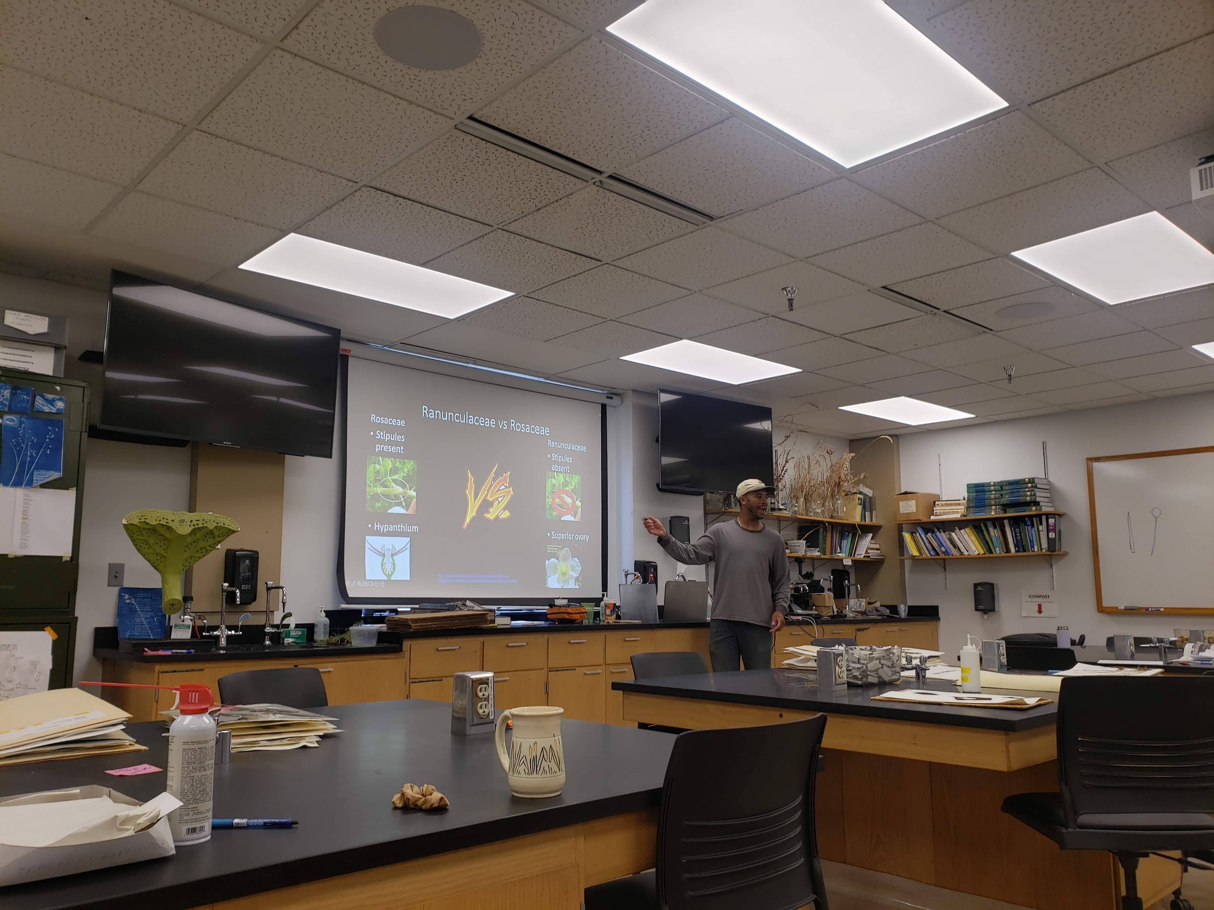 OBE202 field botany guest lecture on major colorado plant familes and groups