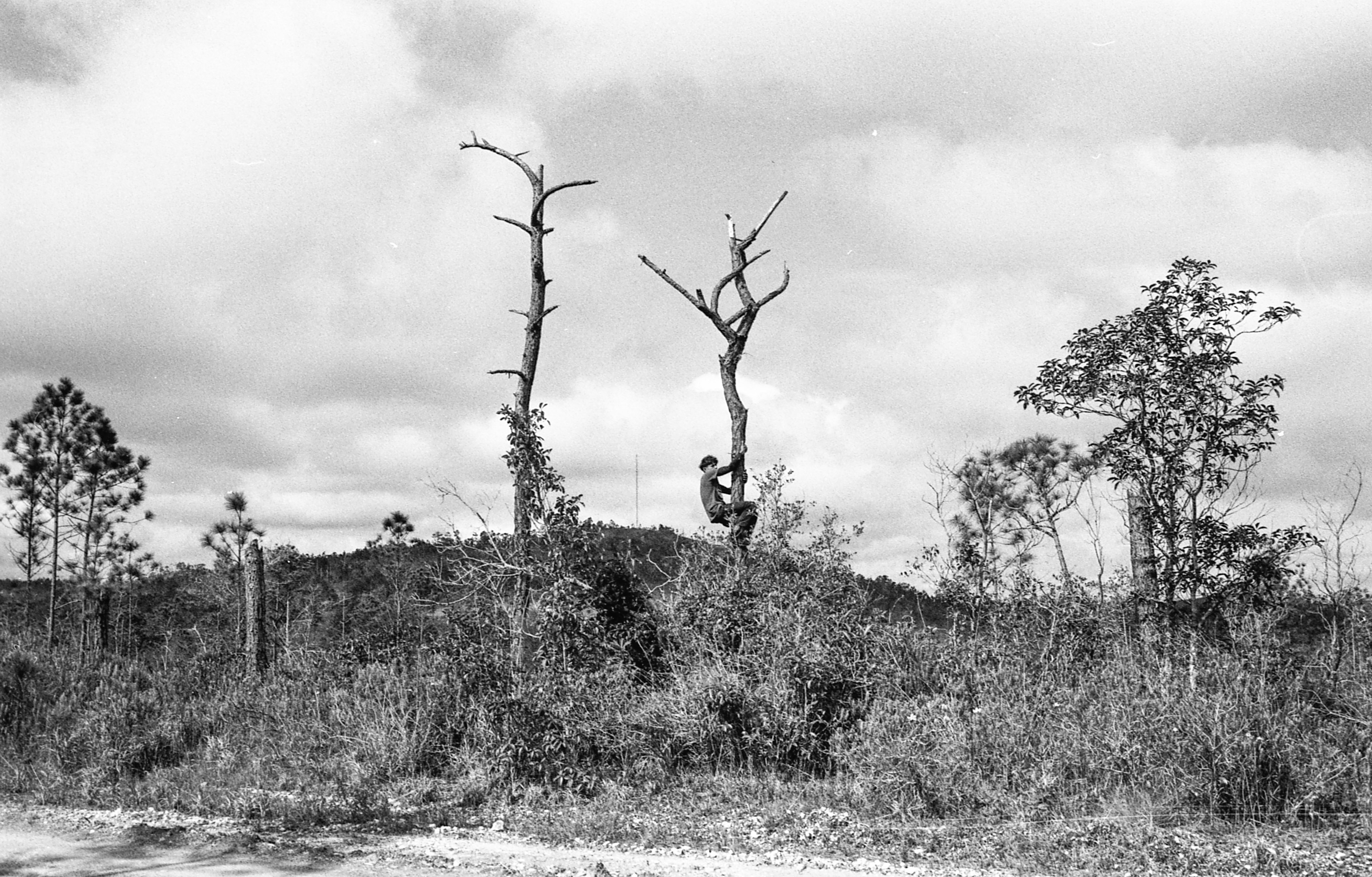 Fakahatchee Strand, FL