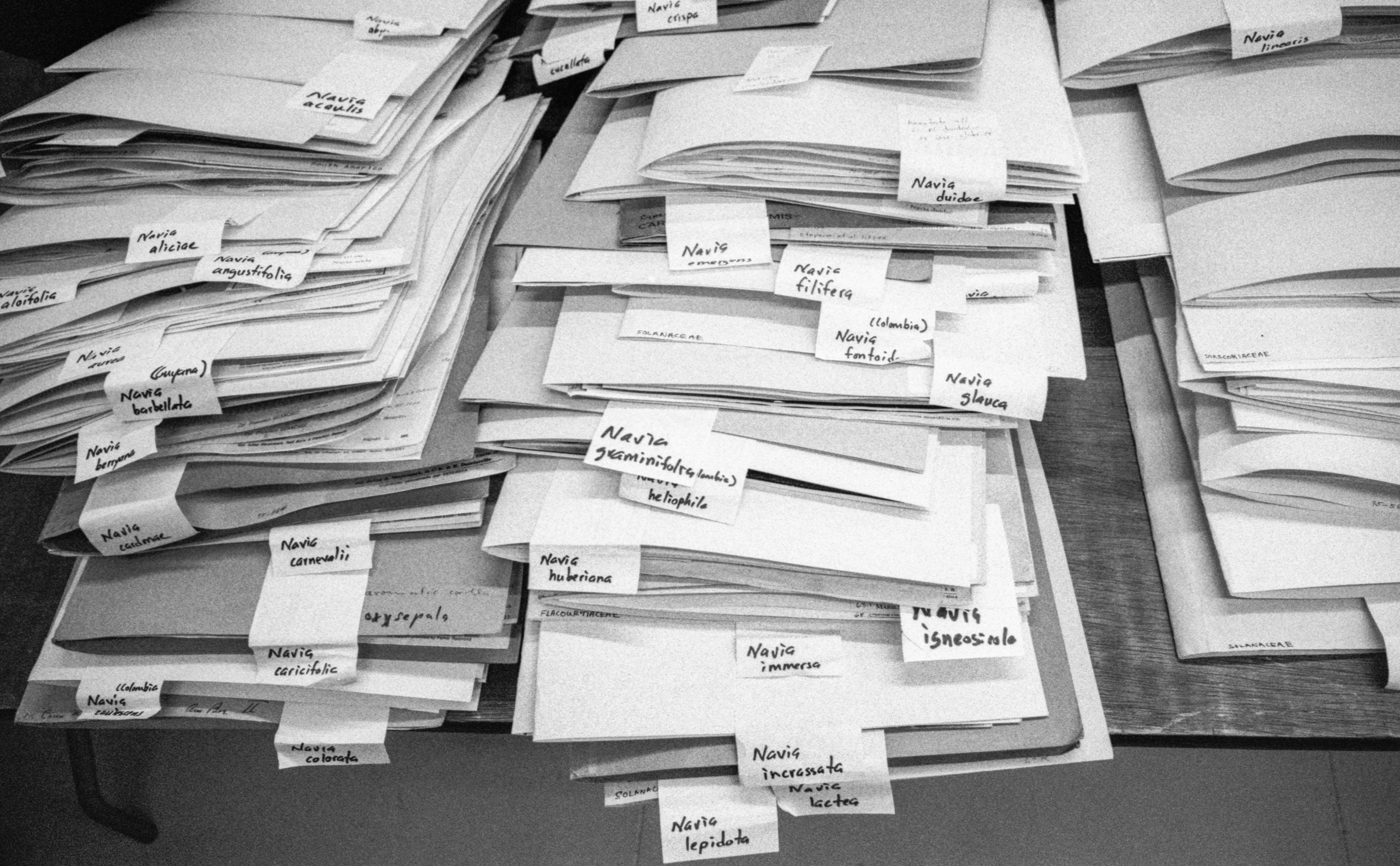 bruce holst's interest at the moment