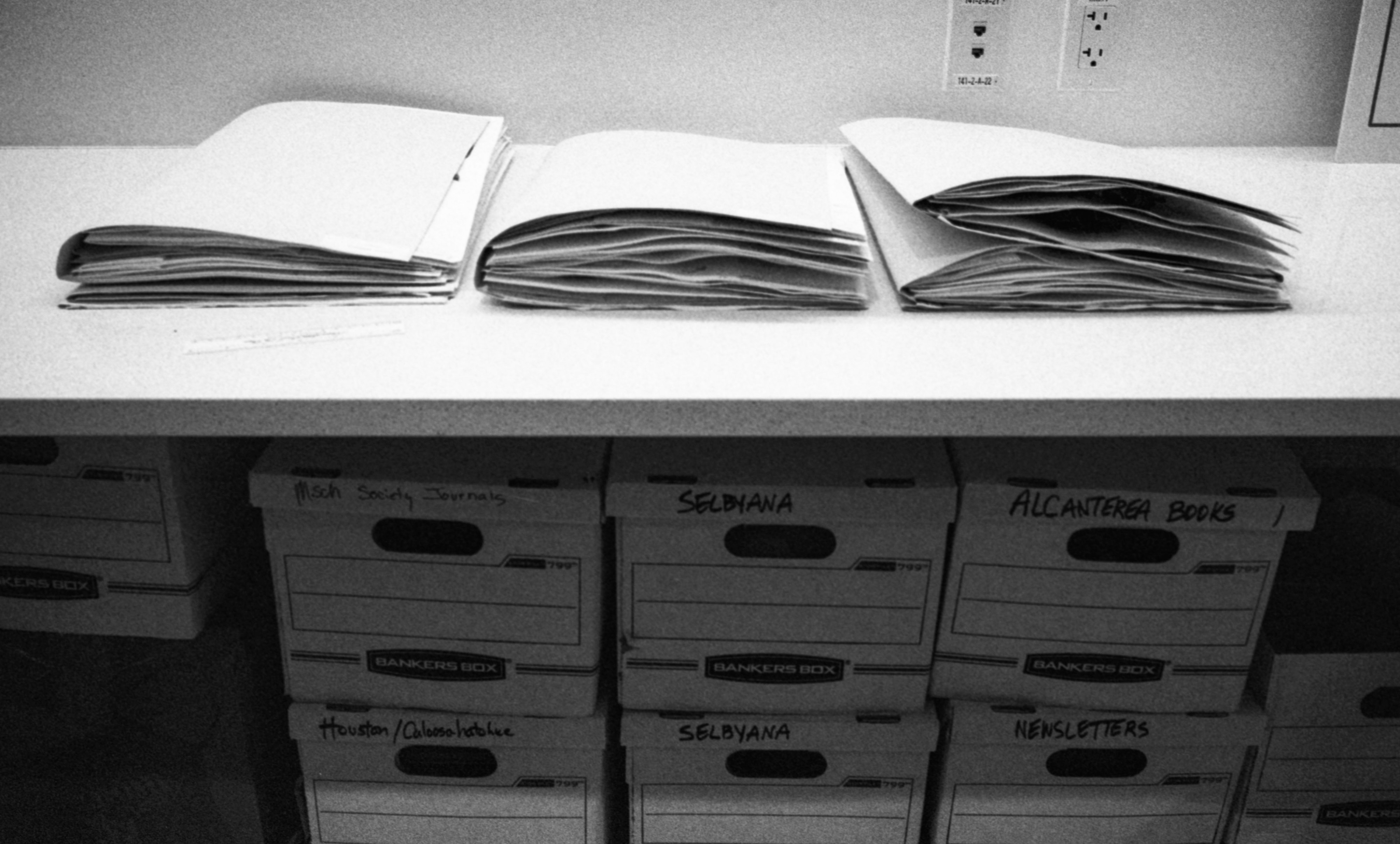all the stuff in a herbarium